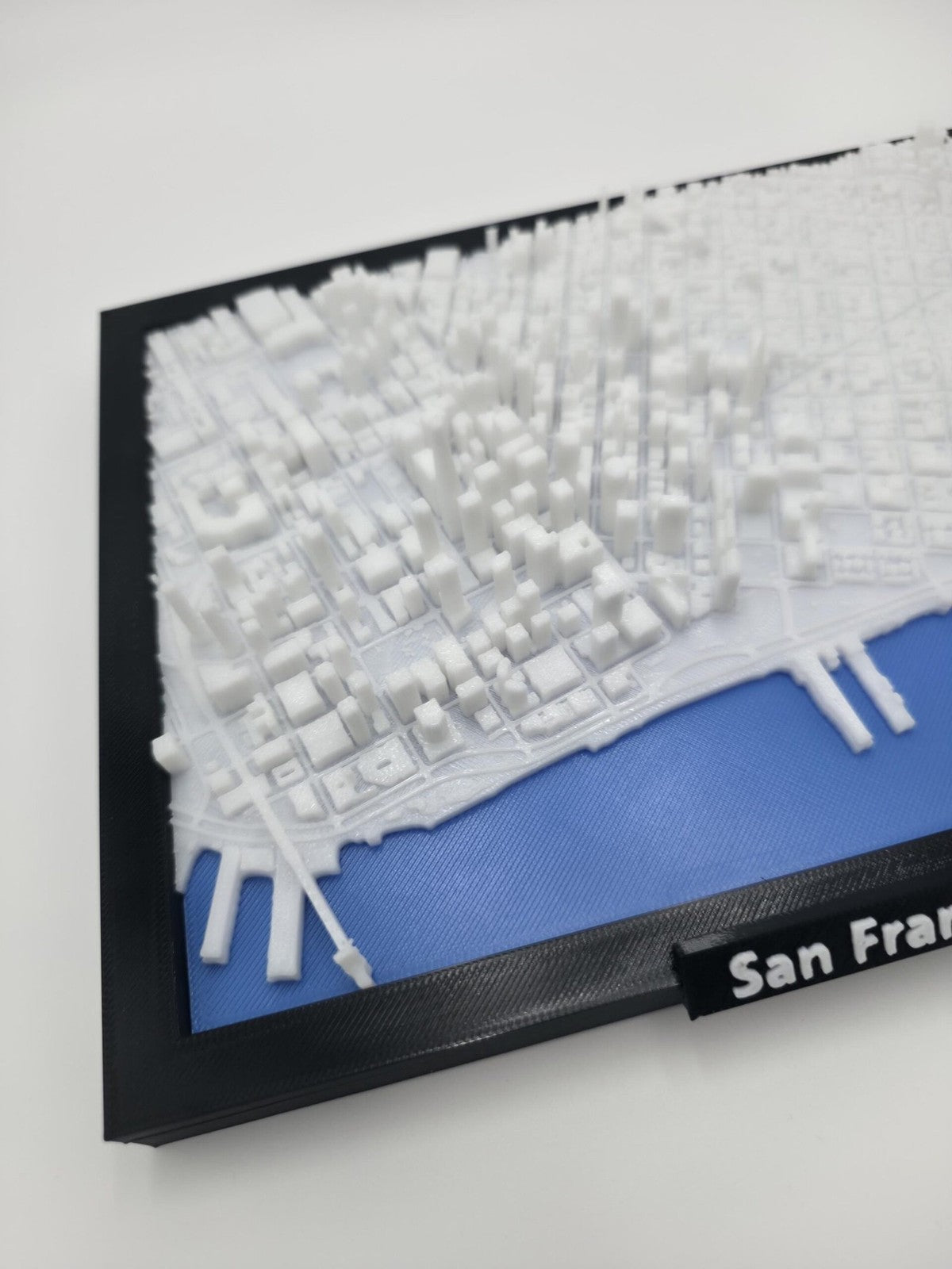 San Francisco California USA 3D City Map