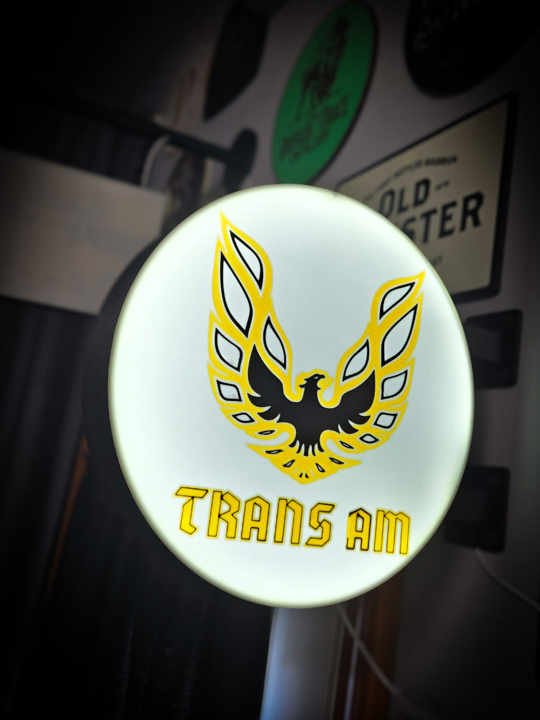 TRANS AM 12 Inch Light Box LED Sign 3D Printed Wall Decor Man Cave Garage
