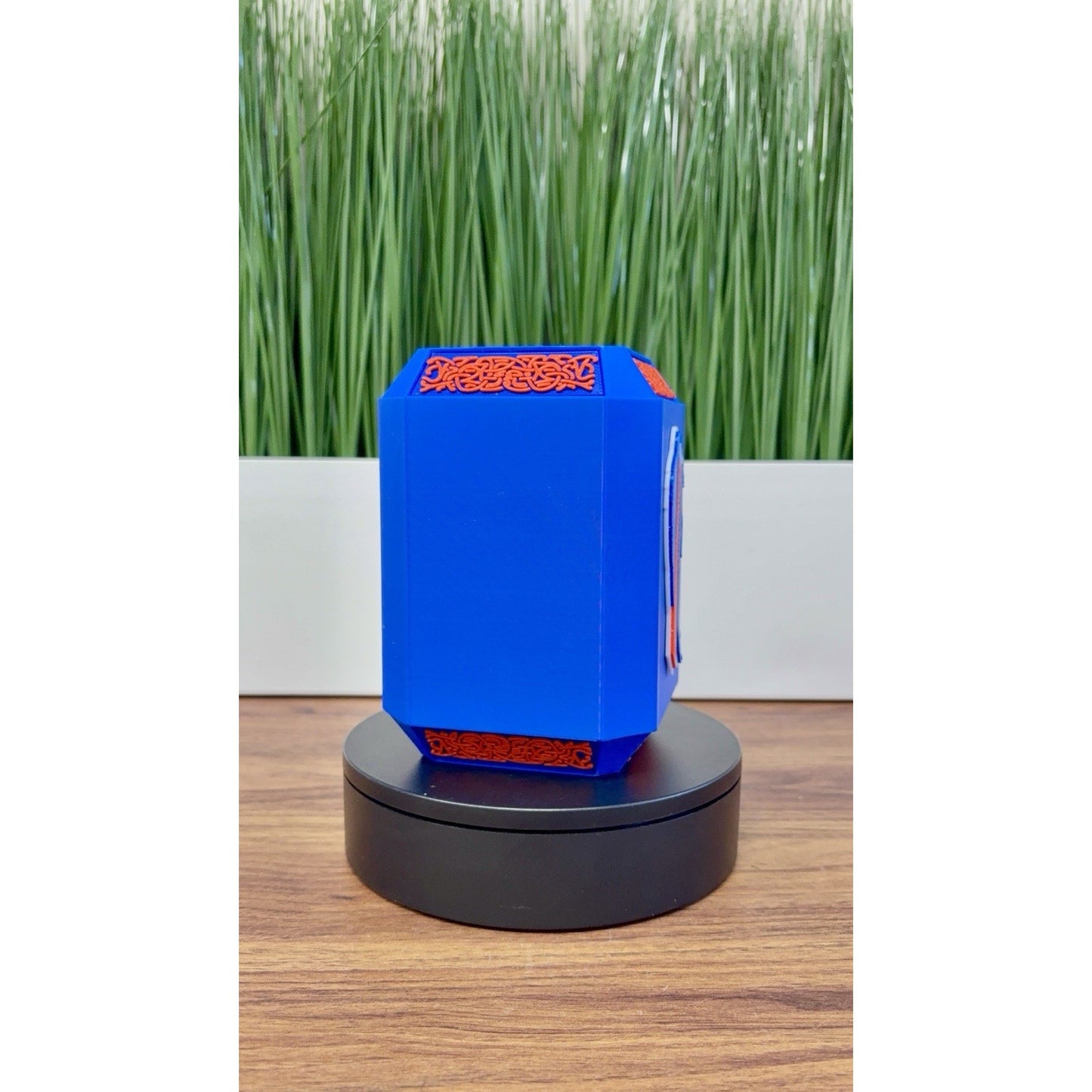 Buffalo bills Koozie