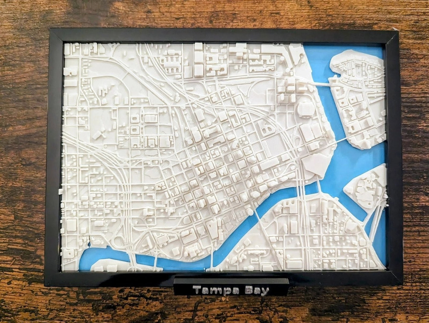 Tampa Bay Florida USA 3D City Map