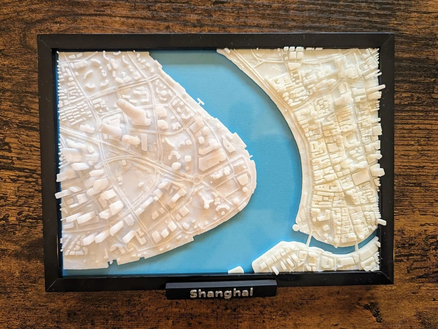 Shanghai China 3D City Map