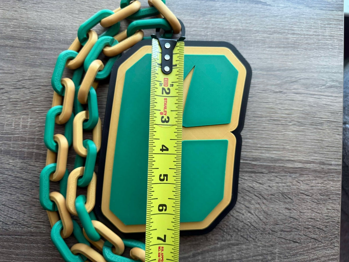 Charlotte 49ers Oversized Necklace, Pendant