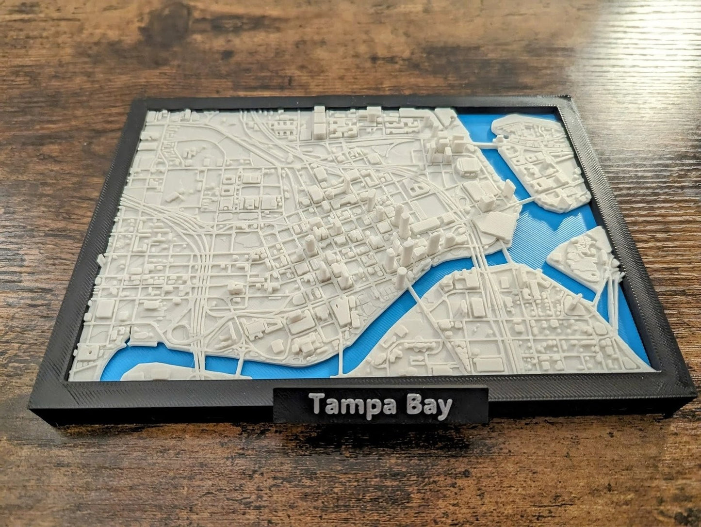 Tampa Bay Florida USA 3D City Map