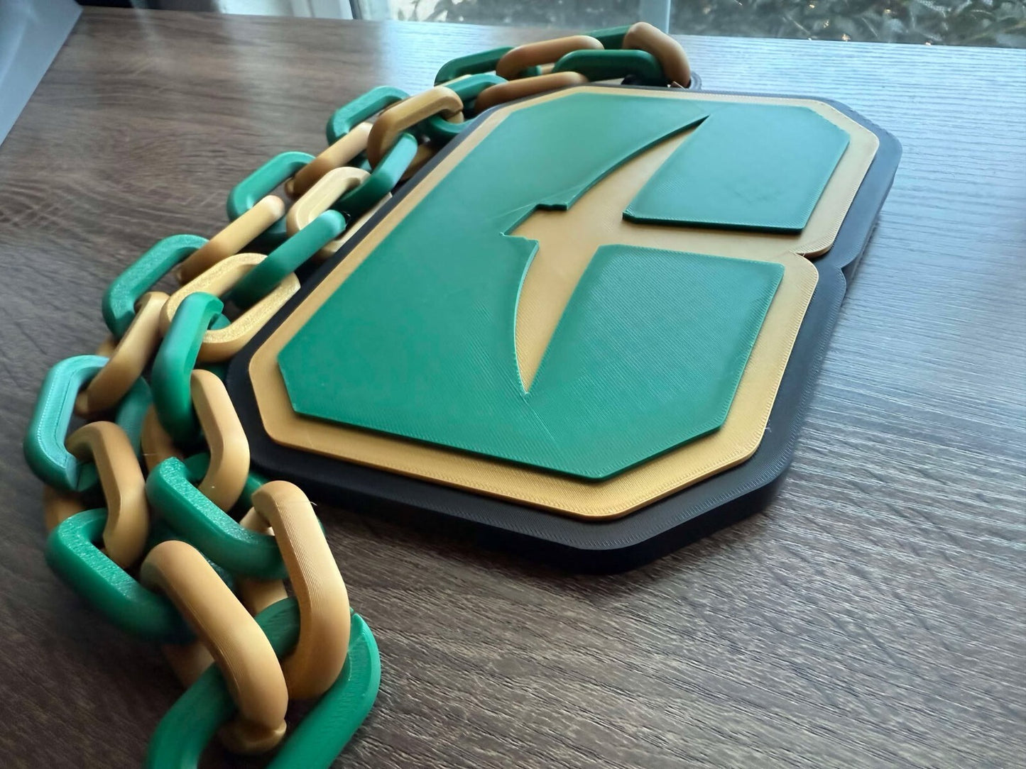 Charlotte 49ers Oversized Necklace, Pendant