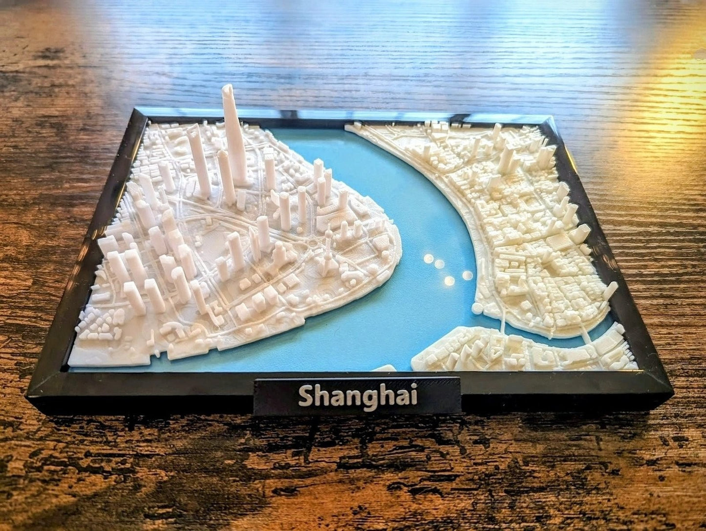 Shanghai China 3D City Map