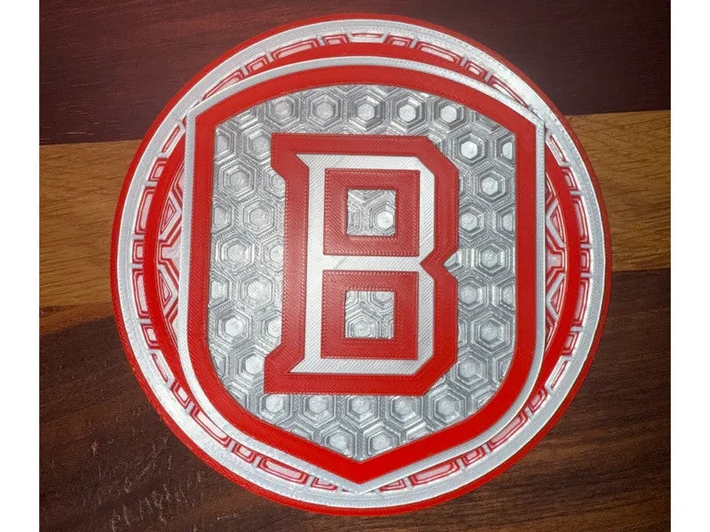 Bradley Braves Wall Art Or Display 3D printed Dimensional Mosaic