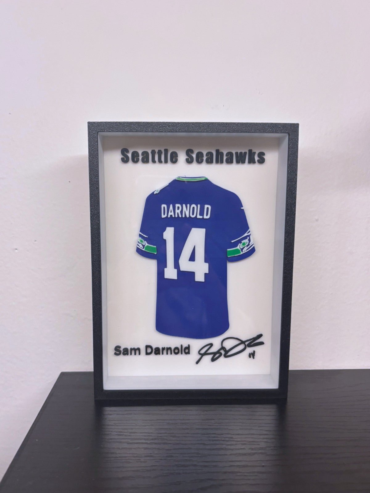 NFL – Darnold Framed 3D Jersey Display (Collector’s Edition)