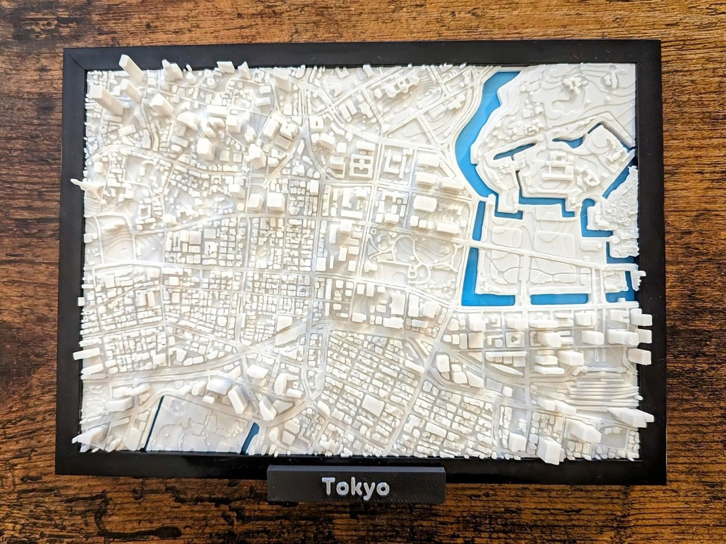 Tokyo Japan 3D City Map