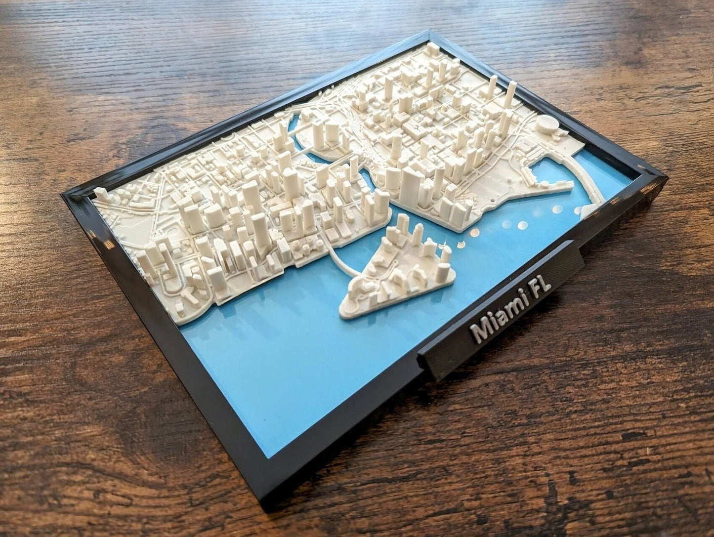 Miami Florida USA 3D City Map