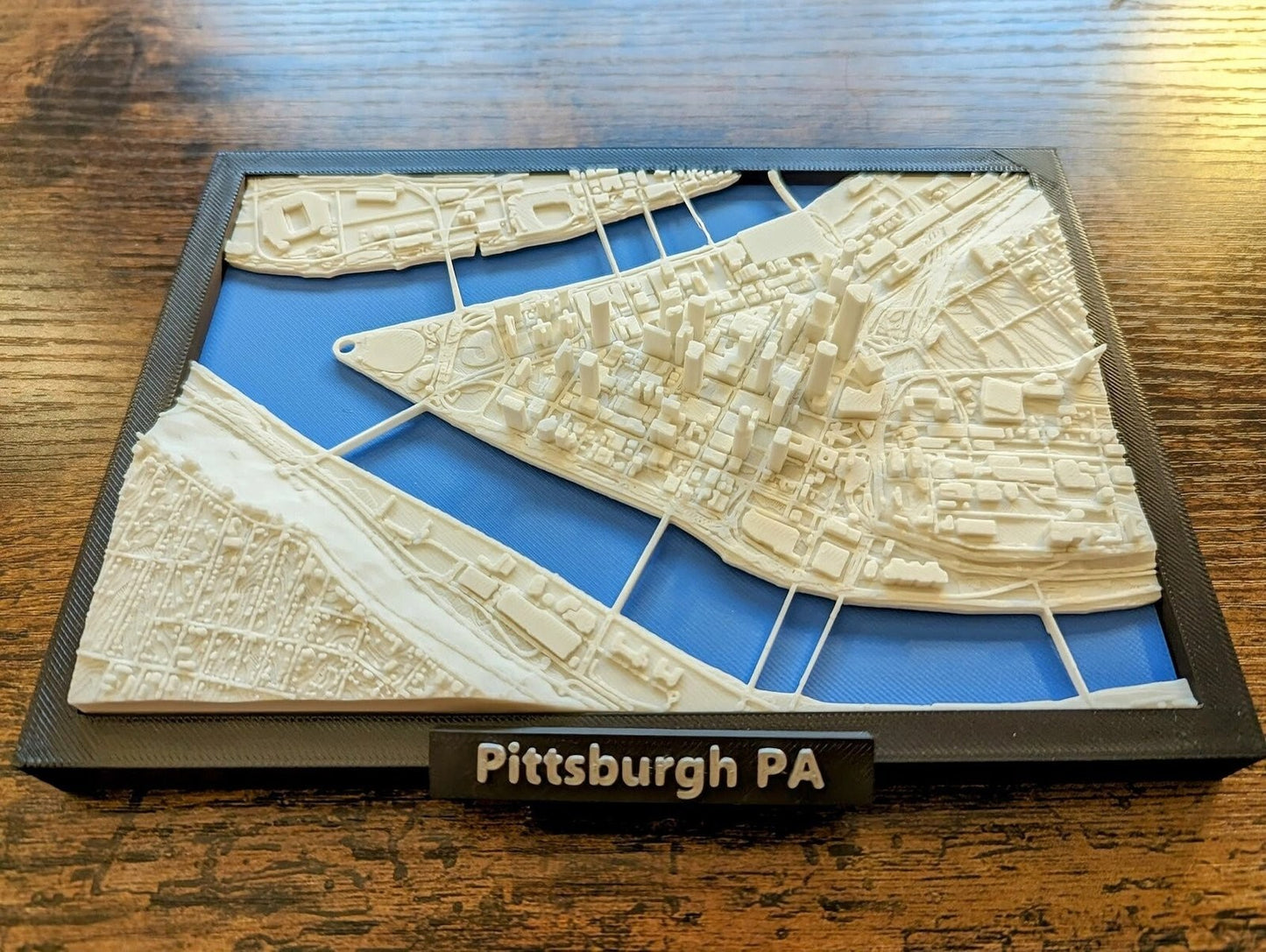 Pittsburgh Pennsylvania USA 3D City Map