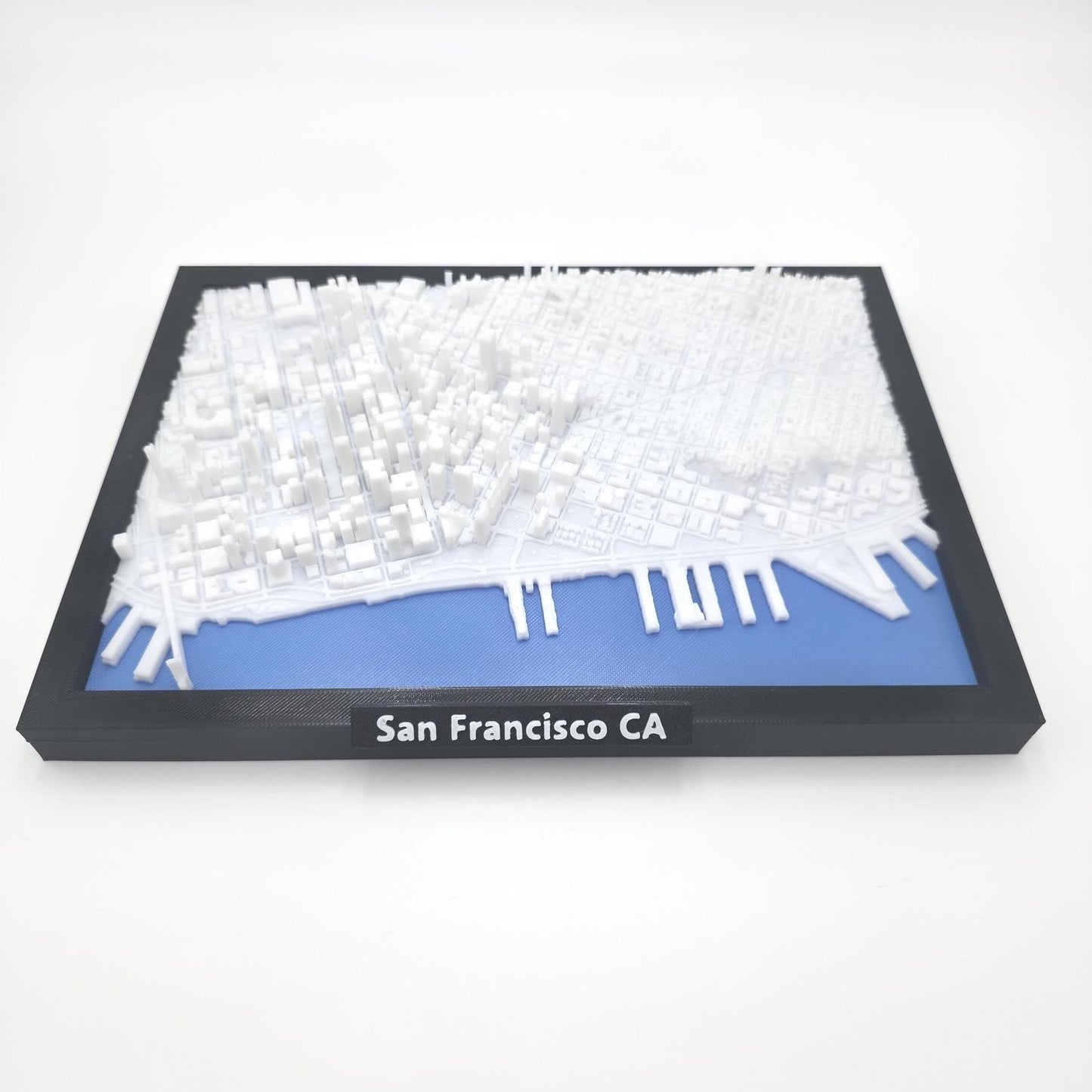San Francisco California USA 3D City Map