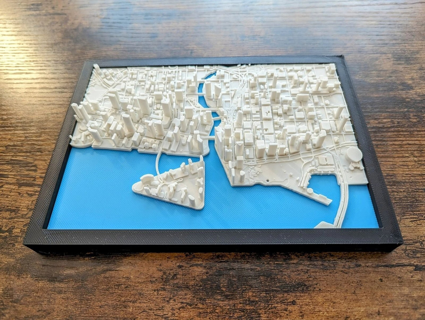 Miami Florida USA 3D City Map