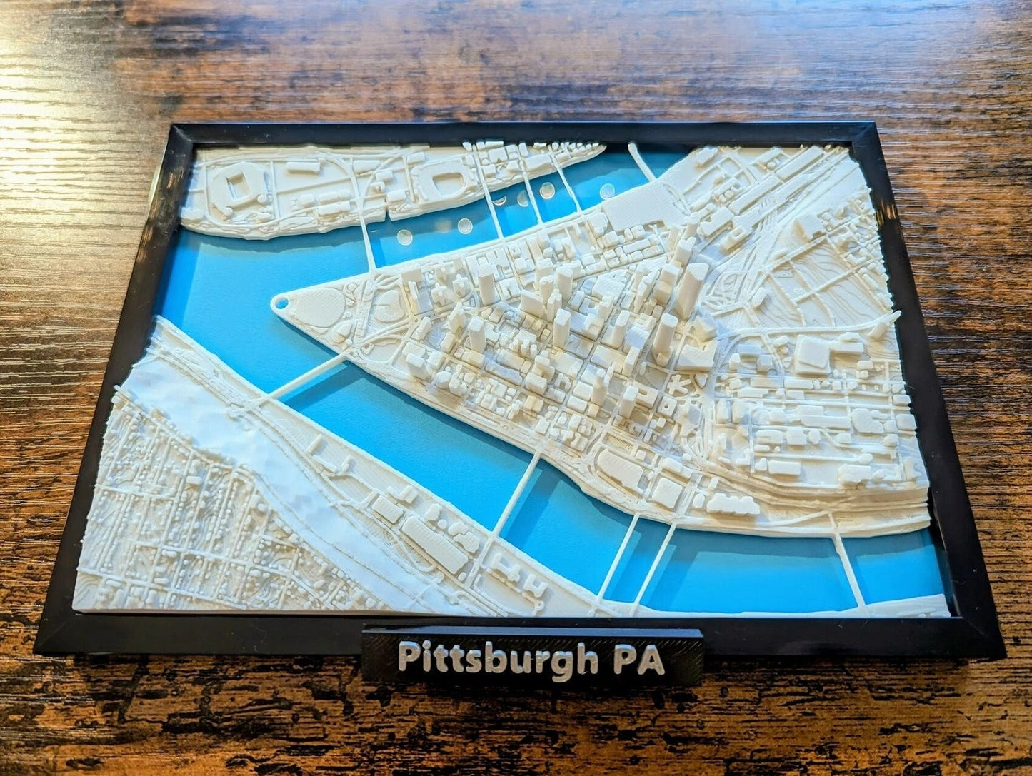 Pittsburgh Pennsylvania USA 3D City Map