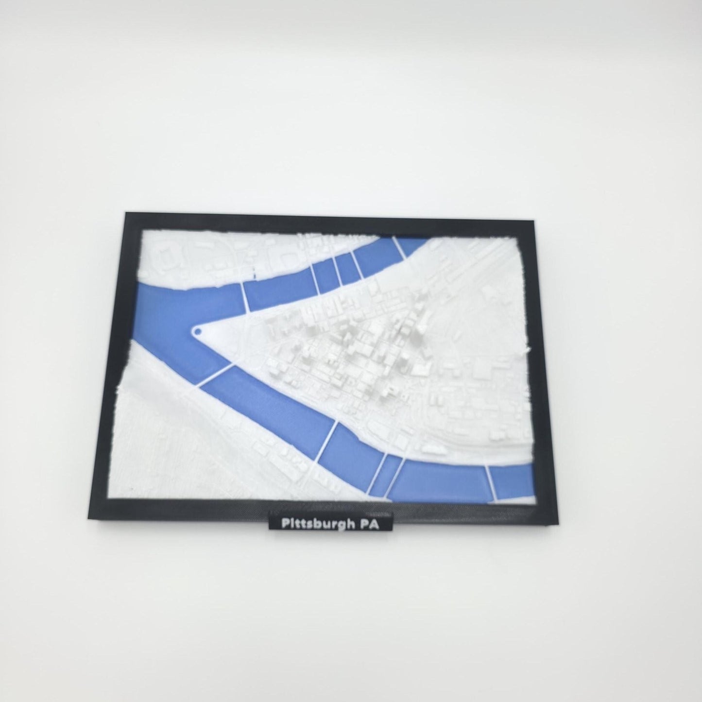 Pittsburgh Pennsylvania USA 3D City Map