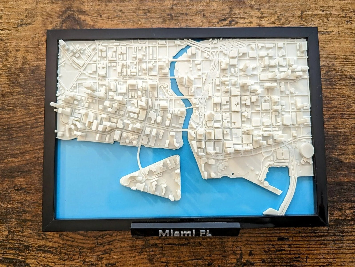 Miami Florida USA 3D City Map