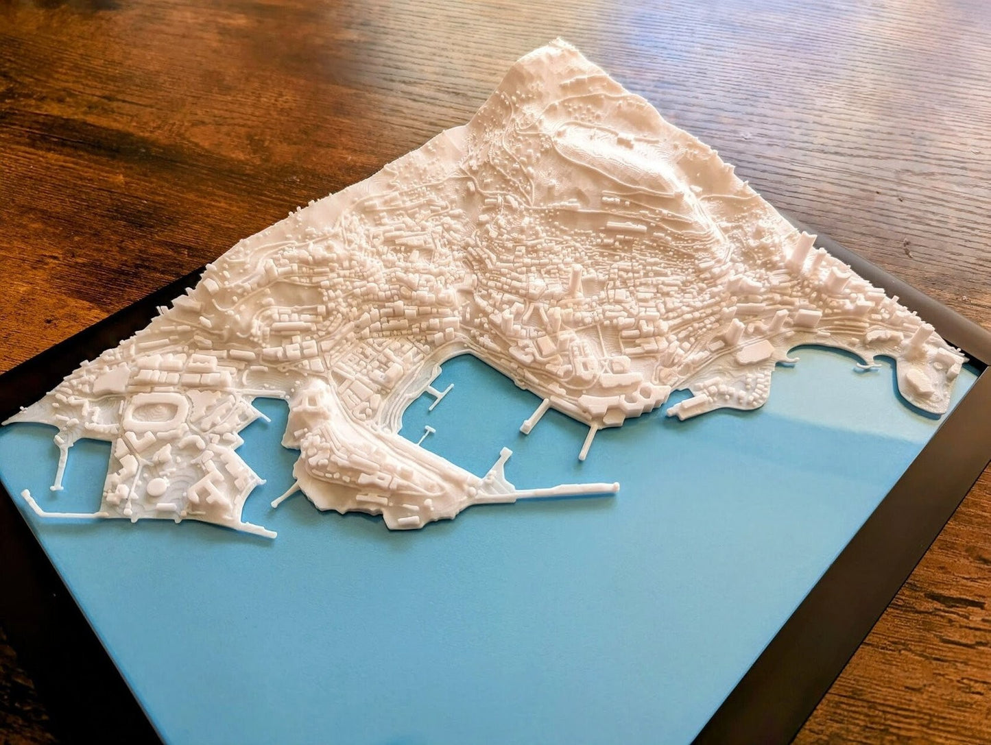 Monaco 3D City Map