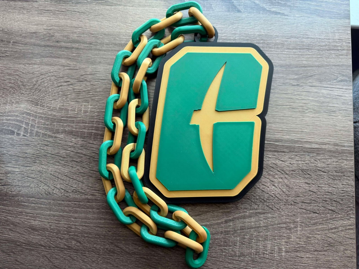 Charlotte 49ers Oversized Necklace, Pendant