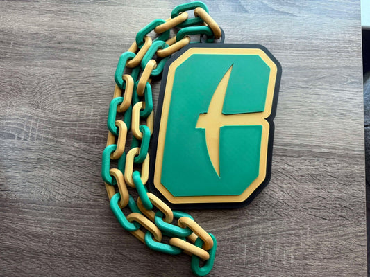 Charlotte 49ers Oversized Necklace, Pendant