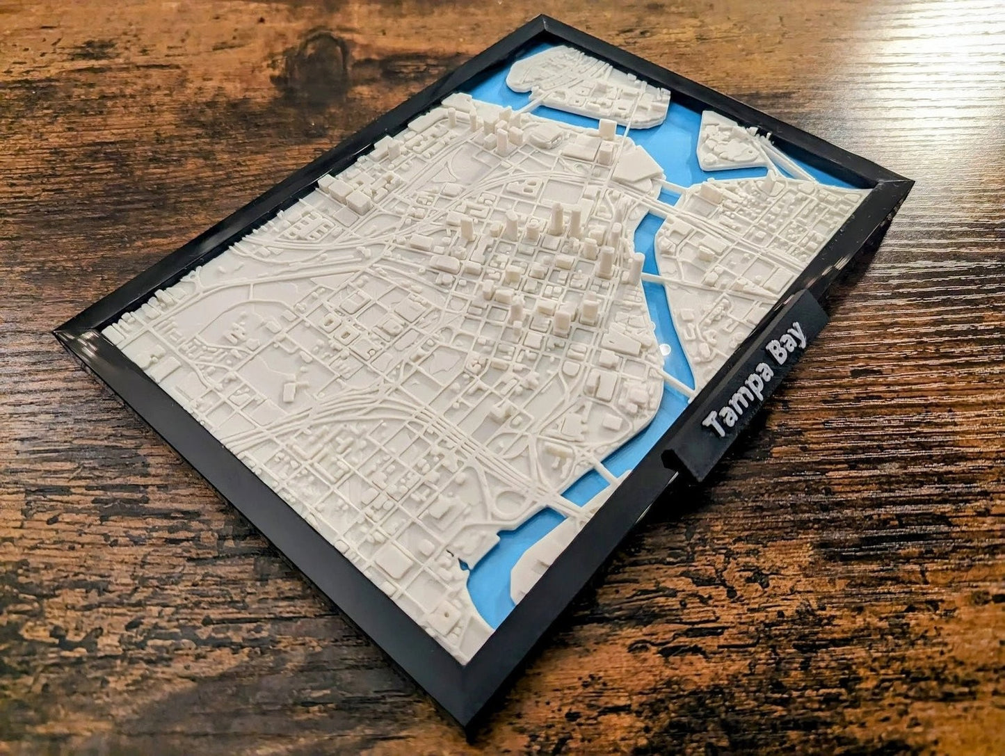 Tampa Bay Florida USA 3D City Map