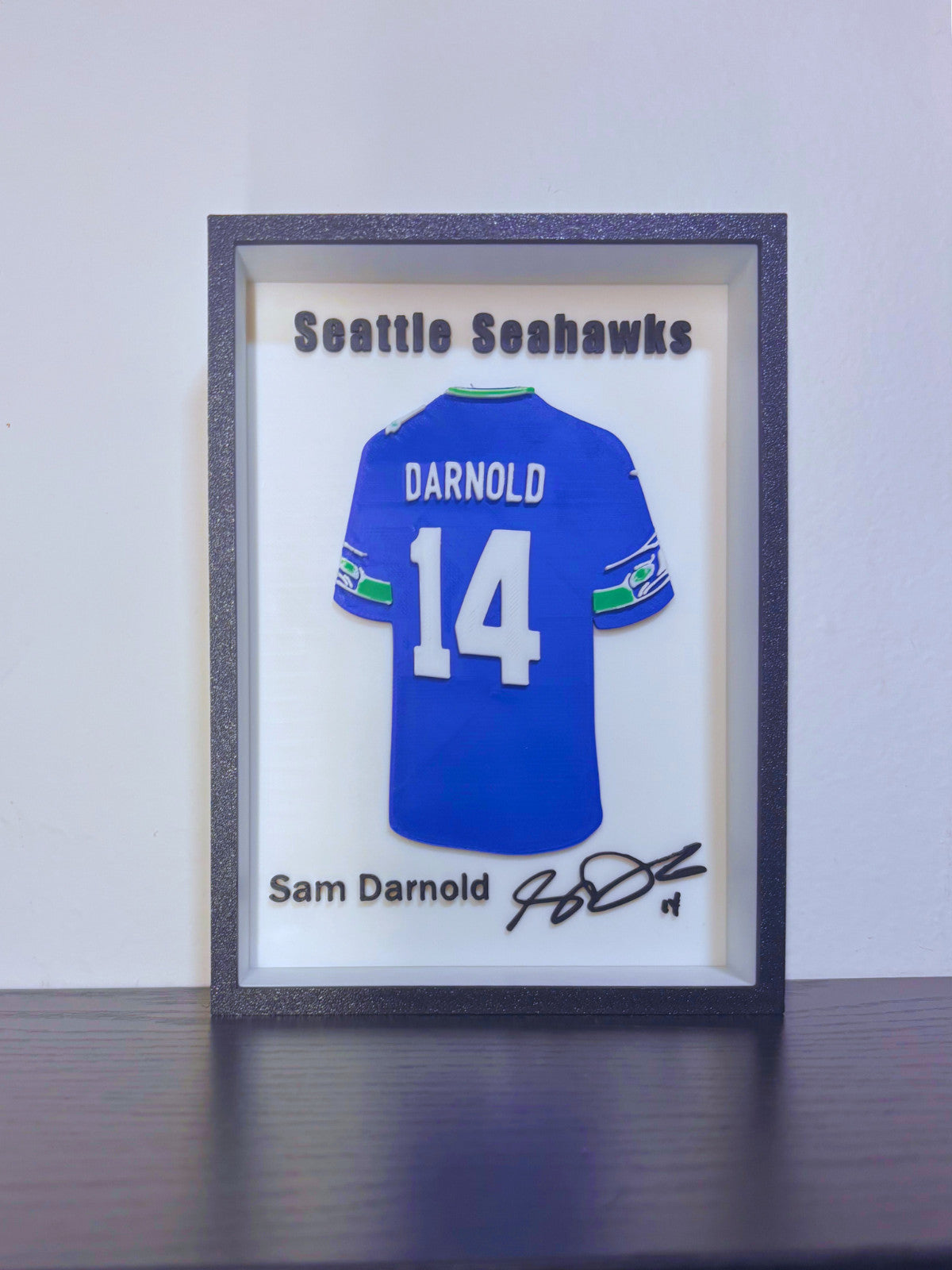 NFL – Darnold Framed 3D Jersey Display (Collector’s Edition)