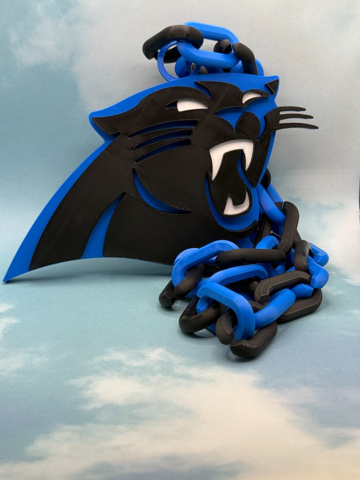 Carolina Panthers Oversized Fan Necklace, Pendant & Chain