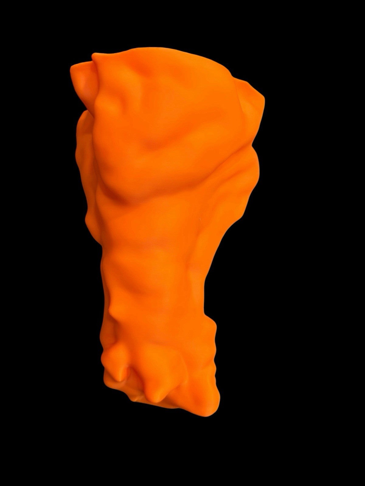 Buffalo Wing Koozie