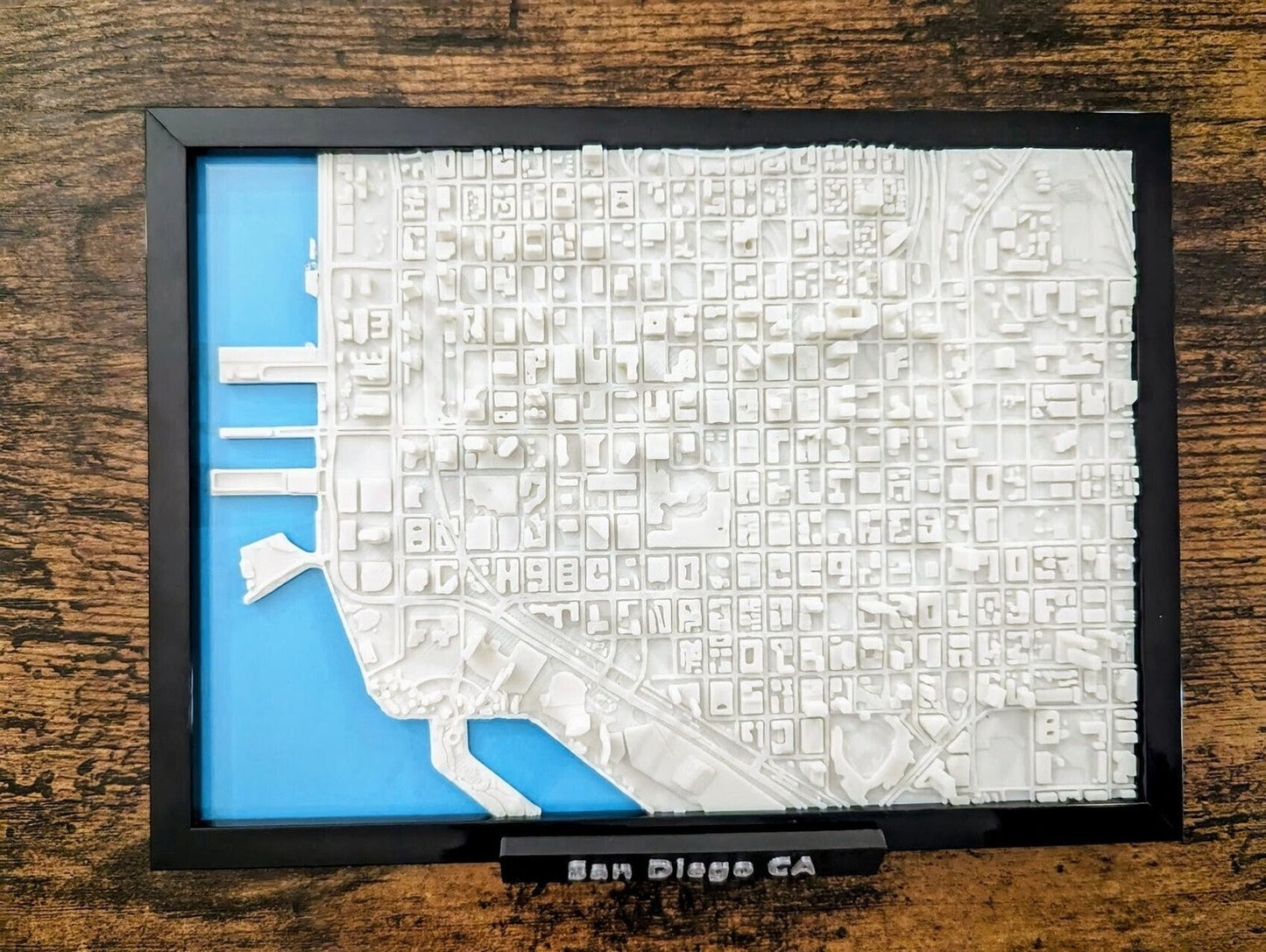 San Diego California USA 3D City Map