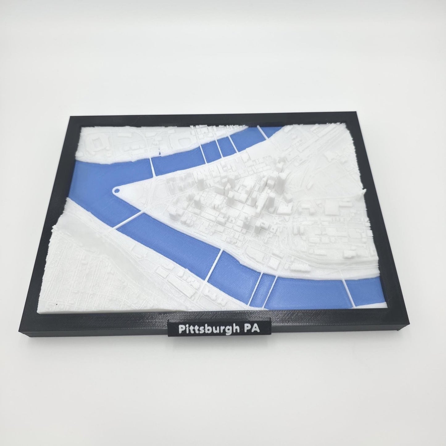 Pittsburgh Pennsylvania USA 3D City Map