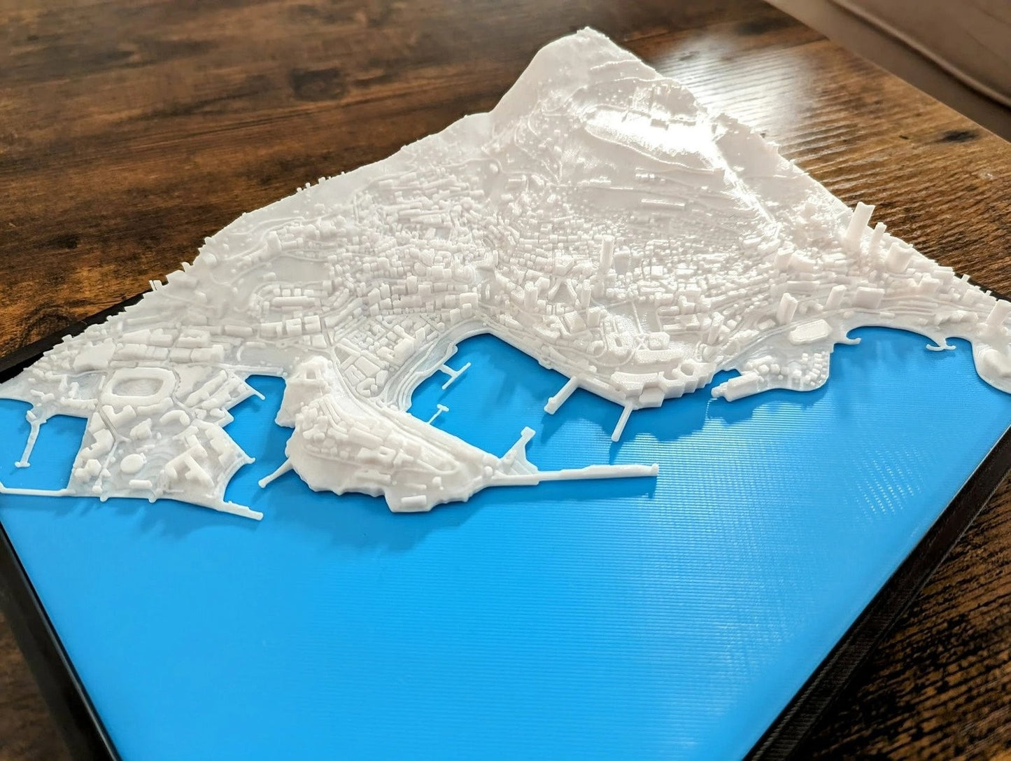 Monaco 3D City Map