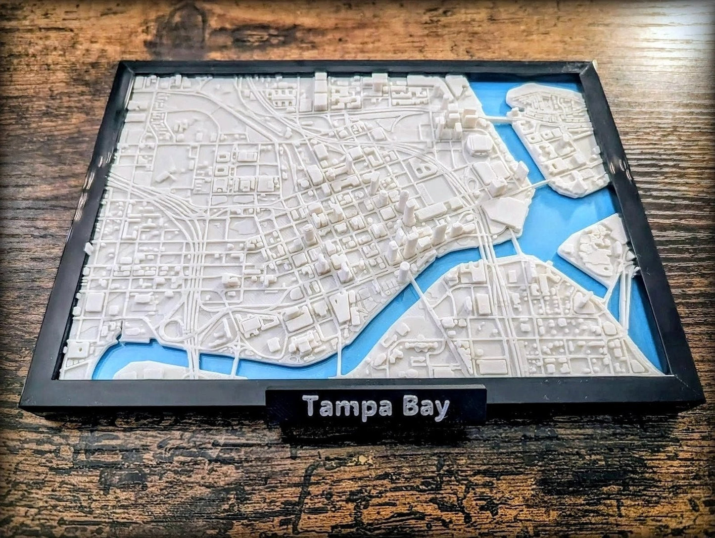 Tampa Bay Florida USA 3D City Map