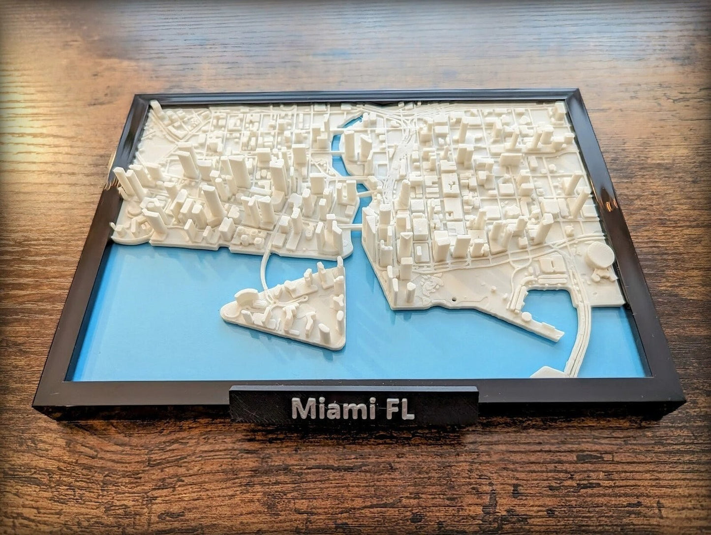 Miami Florida USA 3D City Map