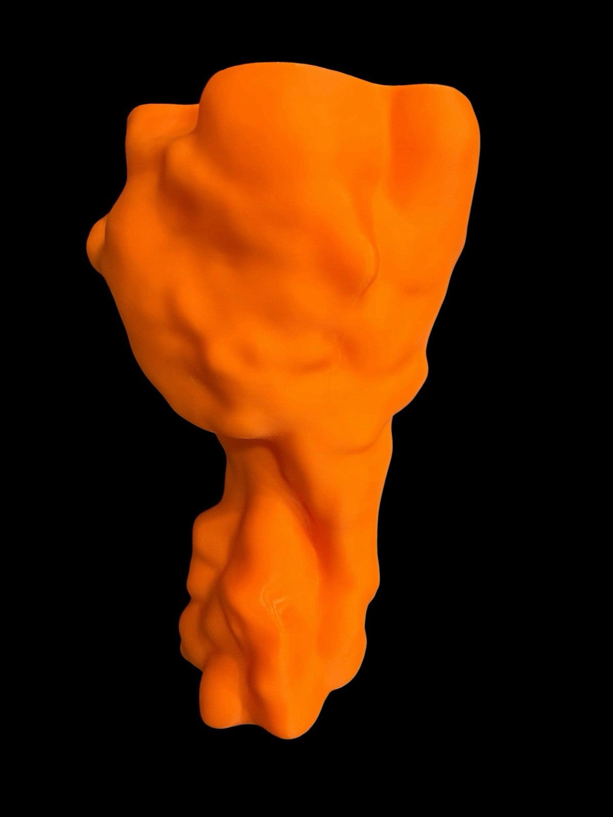 Buffalo Wing Koozie