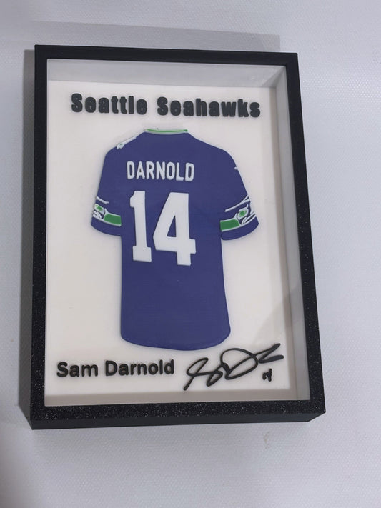 NFL – Darnold Framed 3D Jersey Display (Collector’s Edition)