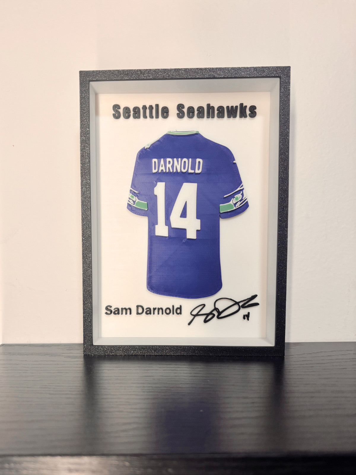 NFL – Darnold Framed 3D Jersey Display (Collector’s Edition)