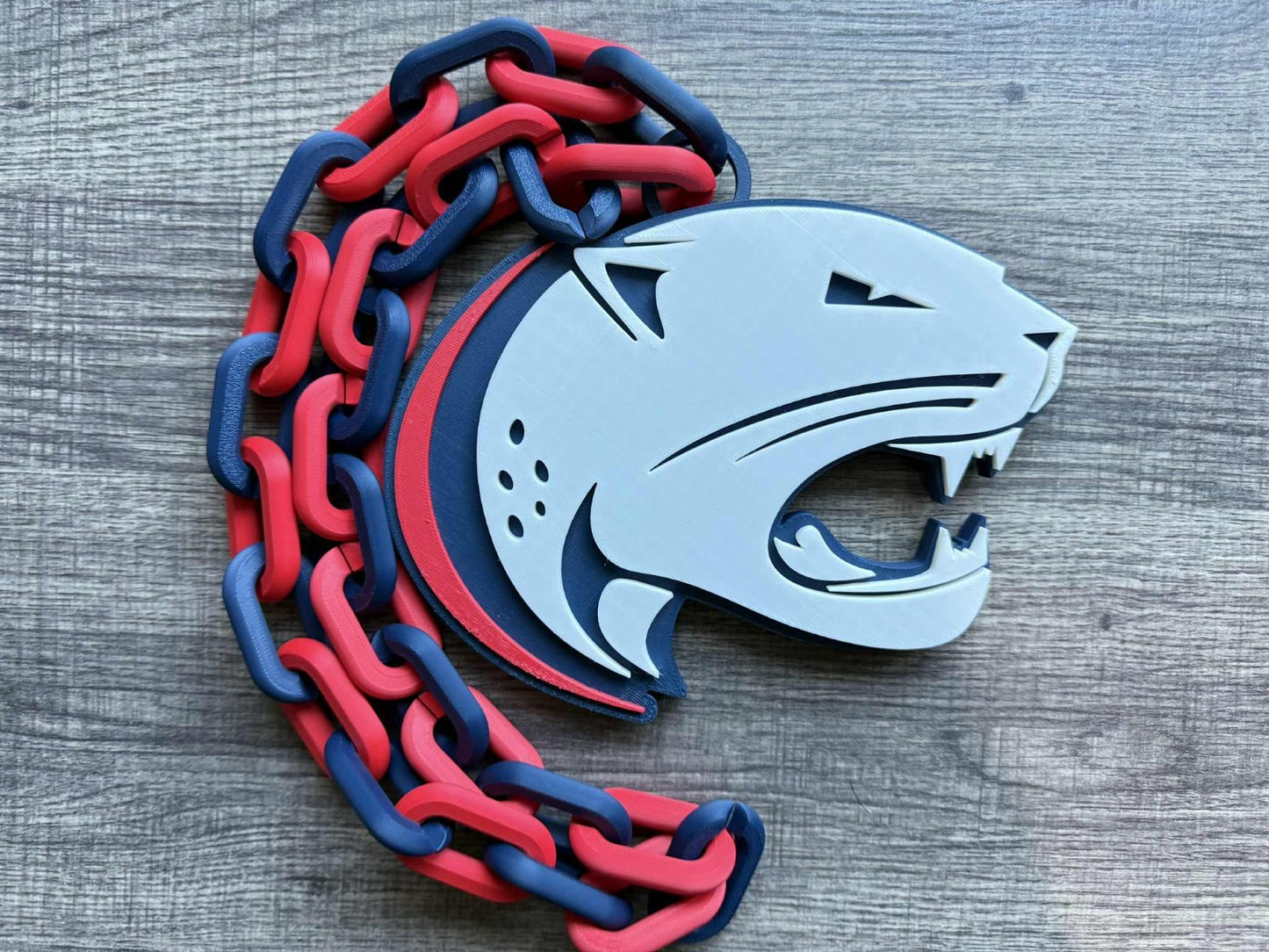 South Alabama Jaguars Logo Oversized Necklace, Hype Chain