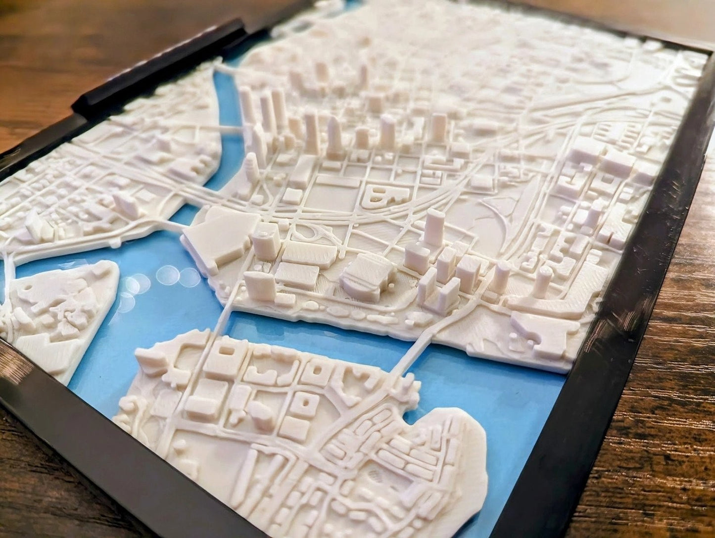 Tampa Bay Florida USA 3D City Map